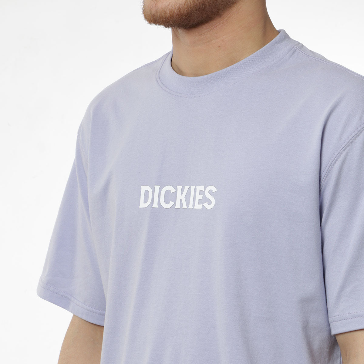 Dickies Patrick Springs T-Shirt