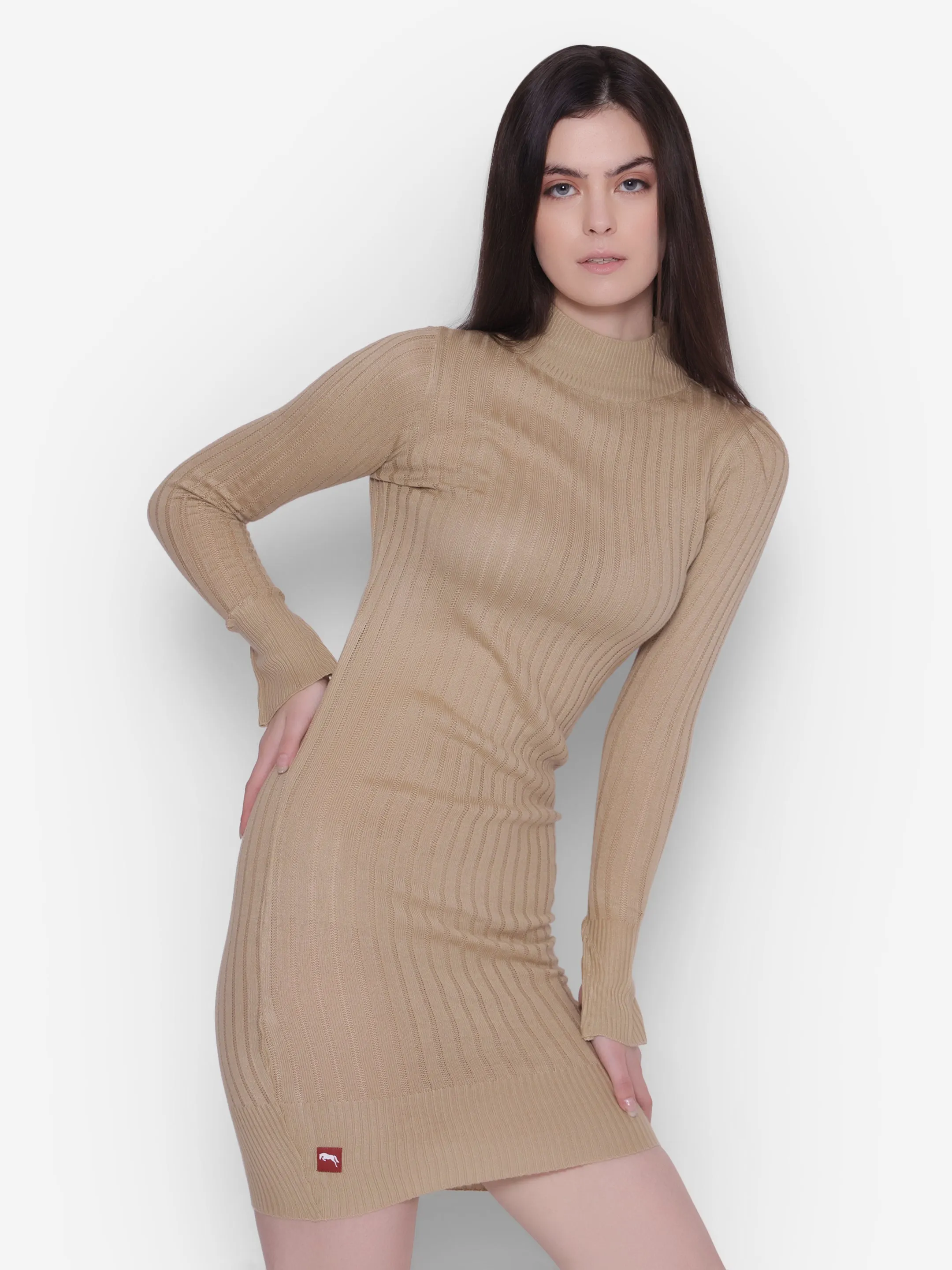 JUMP USA Women Beige Turtle Neck Sweaters